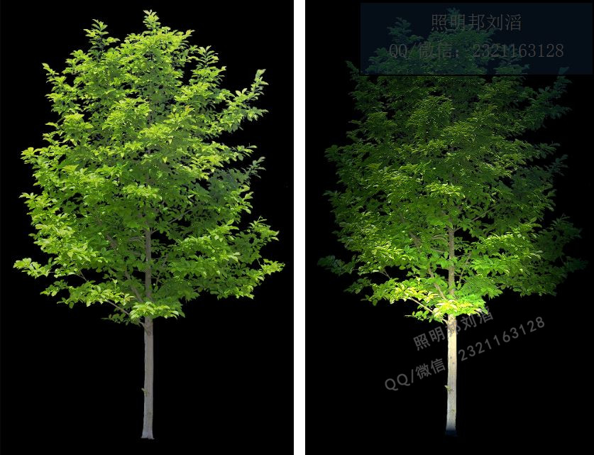 PS���������ѵ